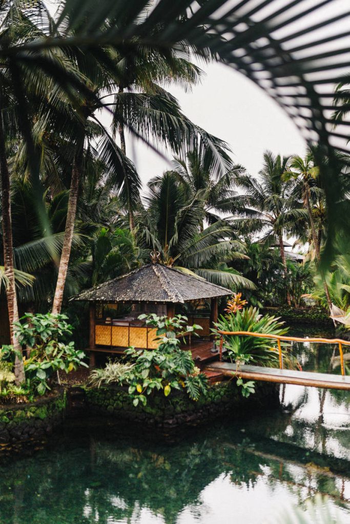 What are the top dietary sources of sodium in the United States?